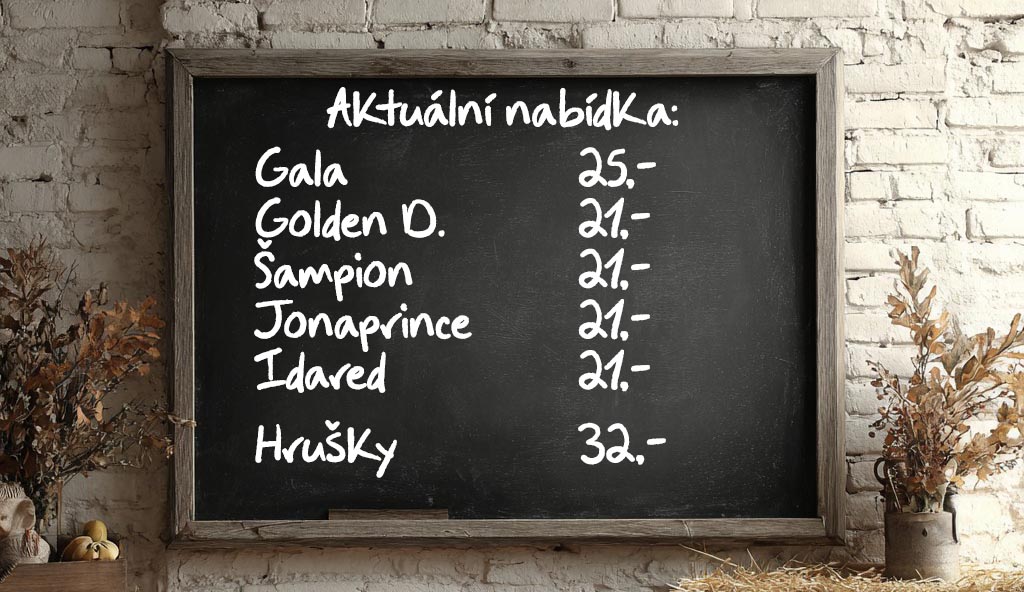 aktuální nabídka mini